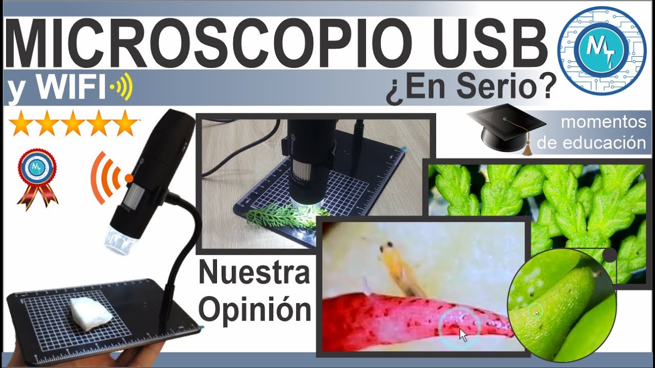 Microscopio Digital – ¡Enriquece tu exploración del mundo!